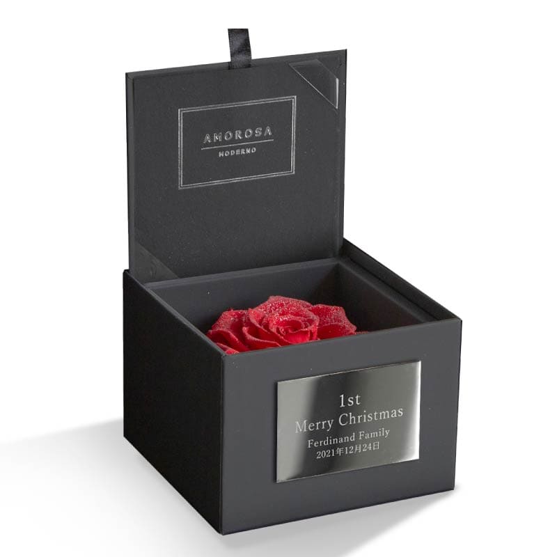 ファーストモデル