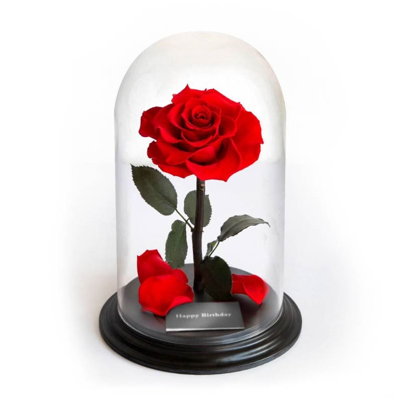 デスティニーローズ