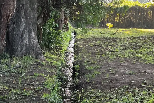アンデスの雪解け水