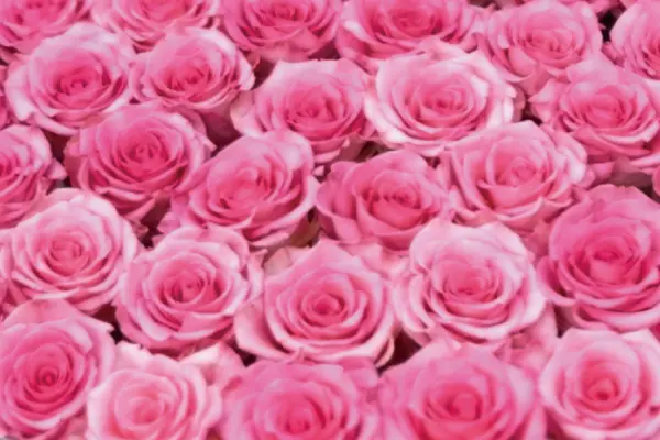 厳しい検査基準