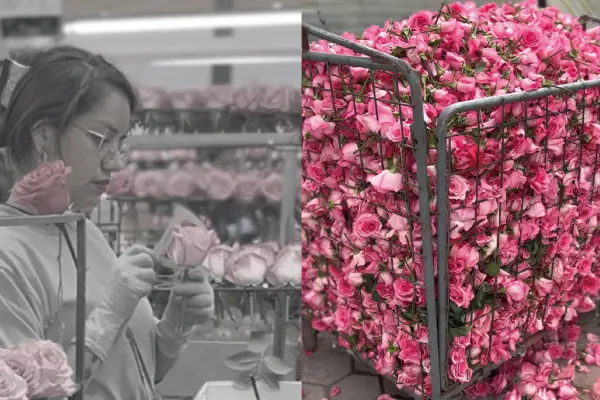 厳しい検査基準