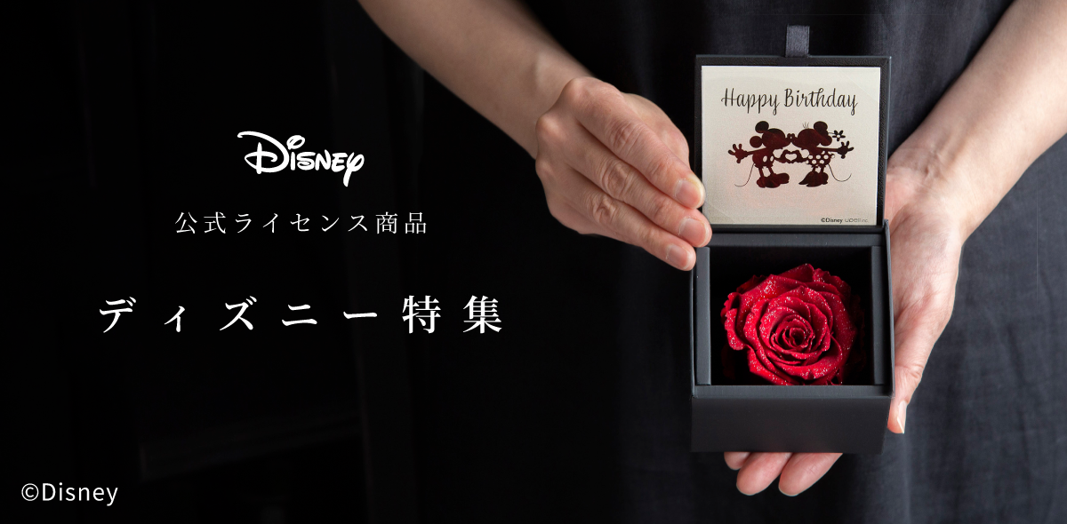 ディズニー特集