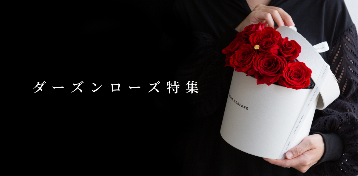 ダーズンローズ特集