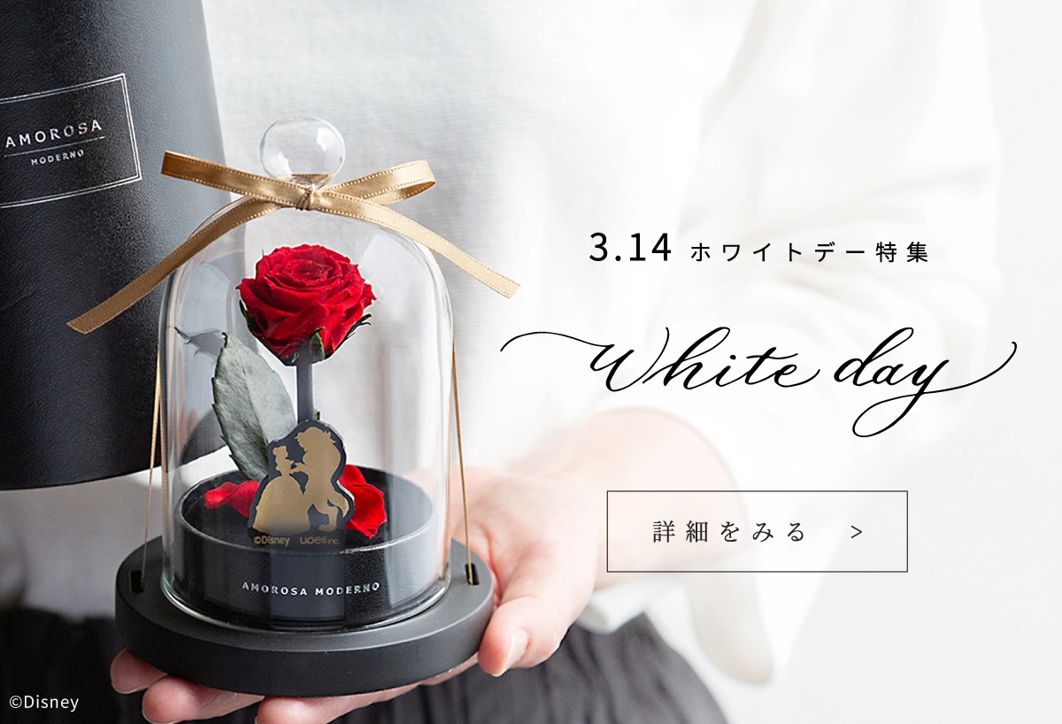 プリザーブドフラワー通販｜最高級ギフトに花を贈りたいなら 公式