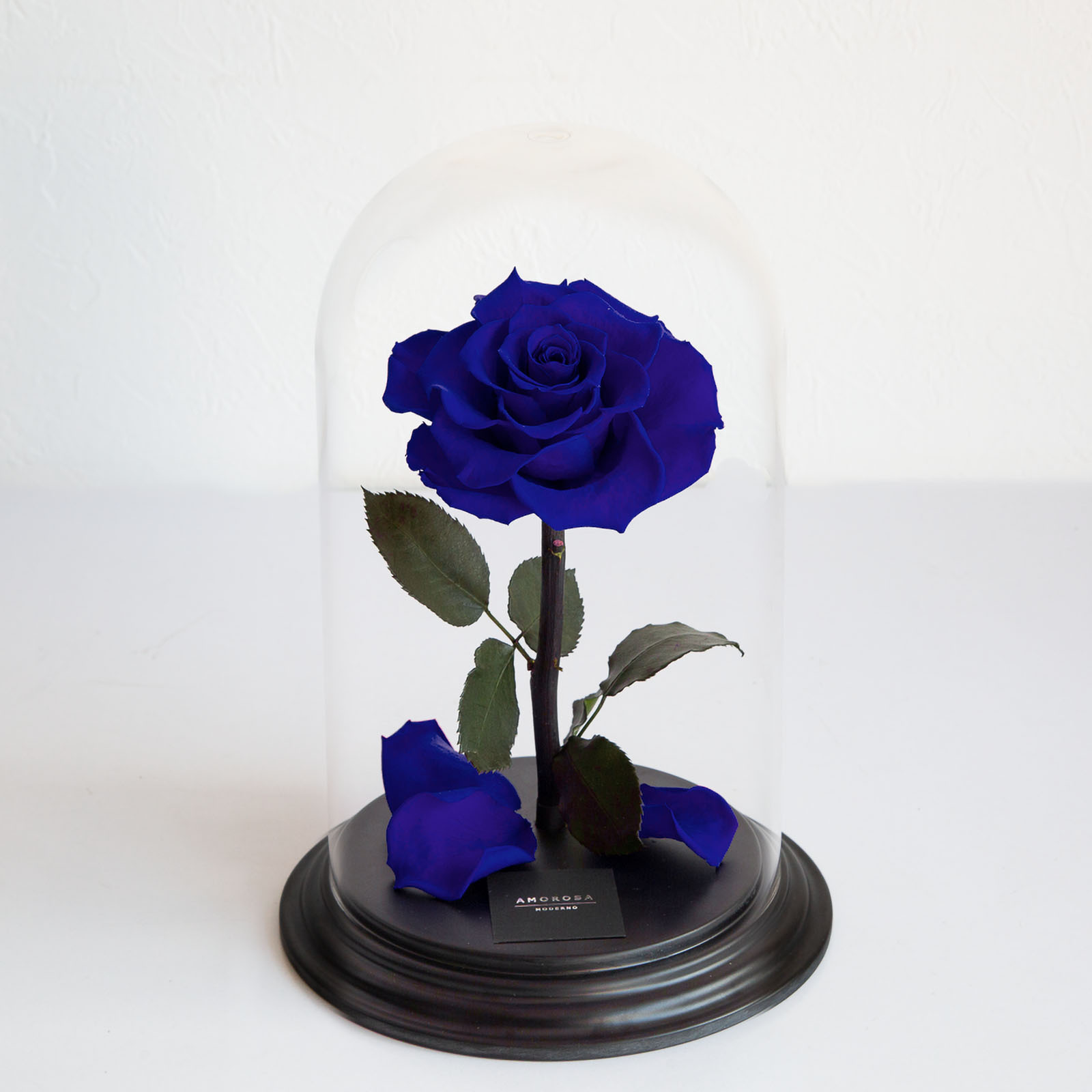 デスティニーローズ(1本立ち)エクセレントブルー