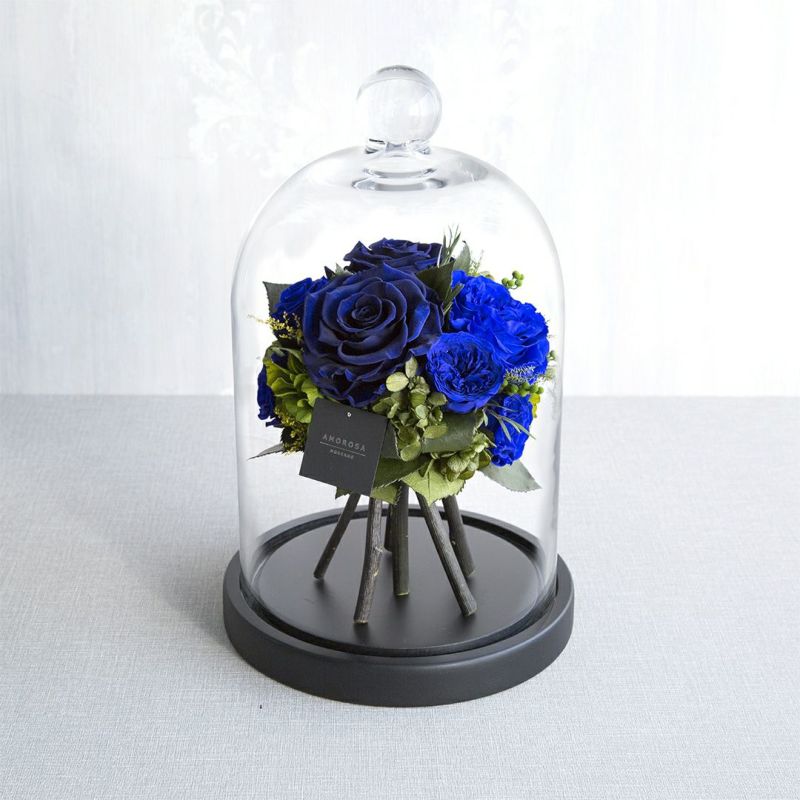 アドラブル L （エクセレントブルー）AM10-10