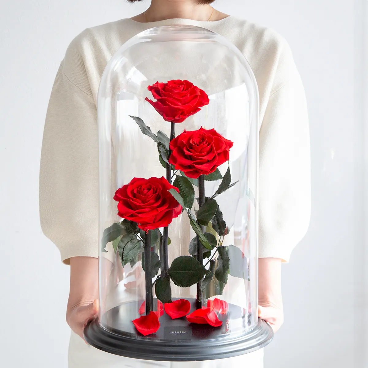 デスティニーローズ