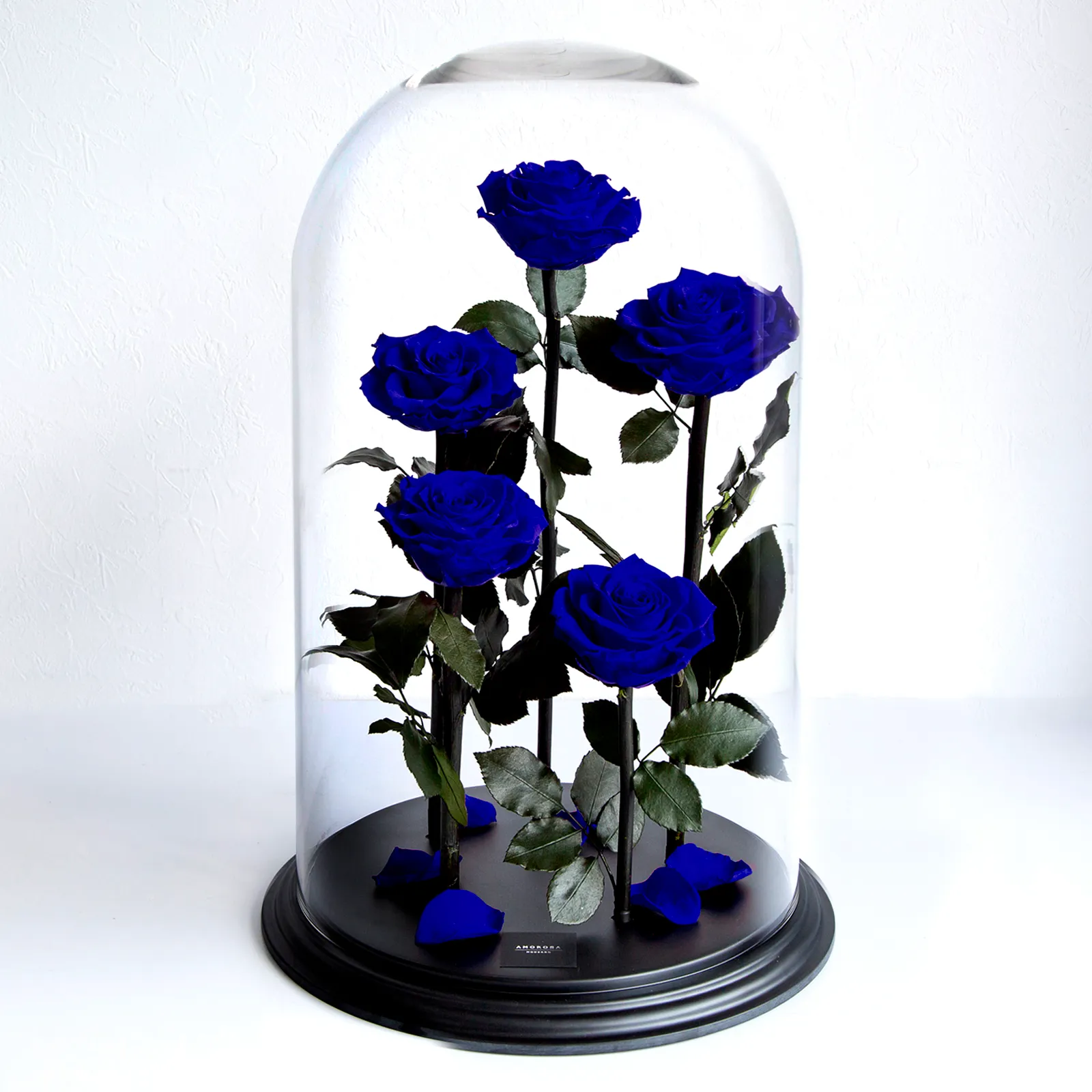 デスティニーローズ（5本立ち）エクセレントブルー