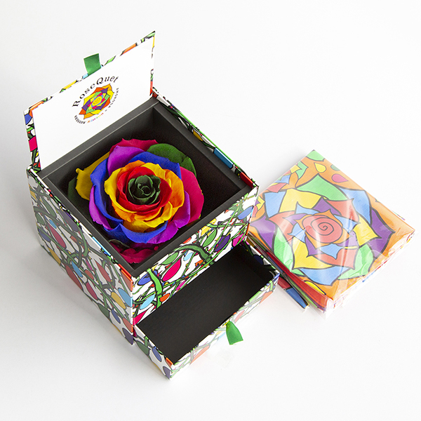 ドロワーボックス&ハンカチーフ(グリーンレインボー)DB-H8R71