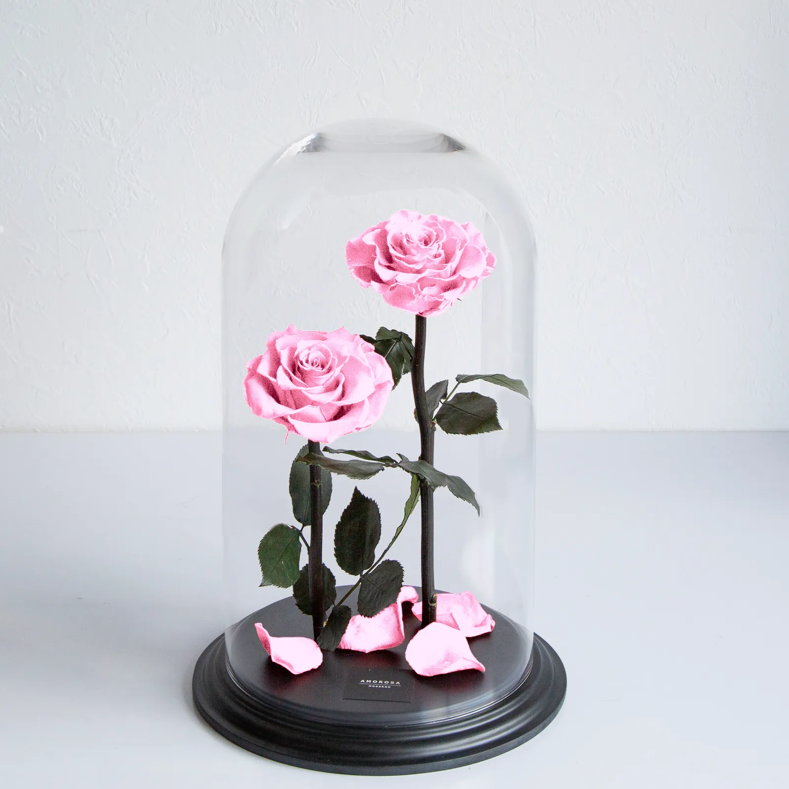 デスティニーローズ（2本立ち）フェミニンピンク