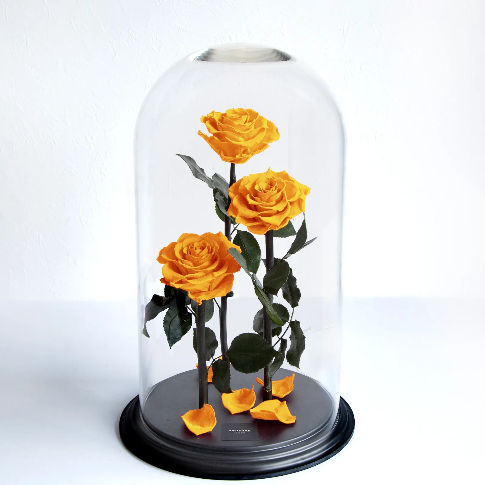 デスティニーローズ（3本立ち）サンフランイエロー