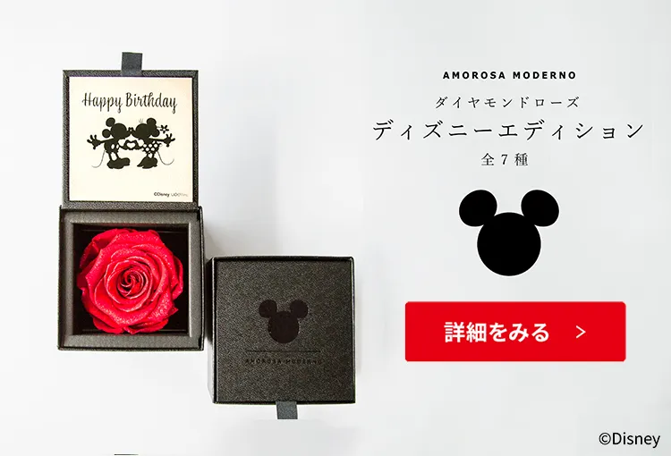 AMOROSA 赤いバラとバースデーカード プリザーブドフラワー通販｜最高級ギフトに花を贈りたいなら 公式