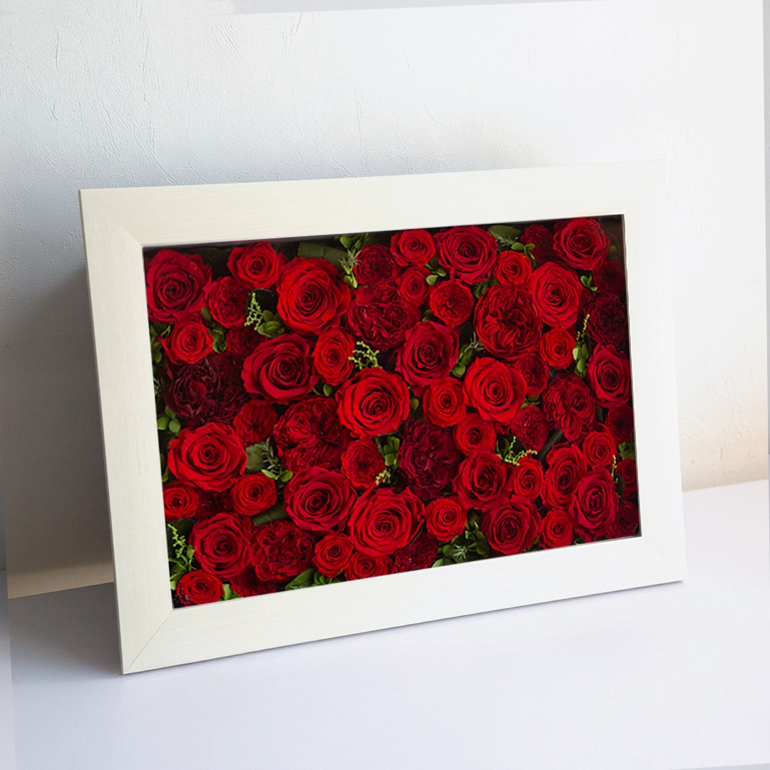 パナッシュ(52-37)/レッド60本