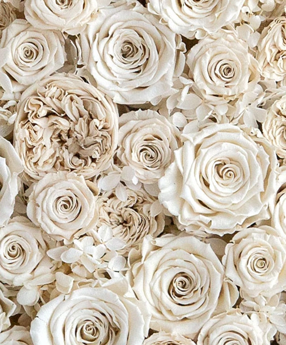 大小さまざまな種類の青い薔薇で額装を埋め尽くします