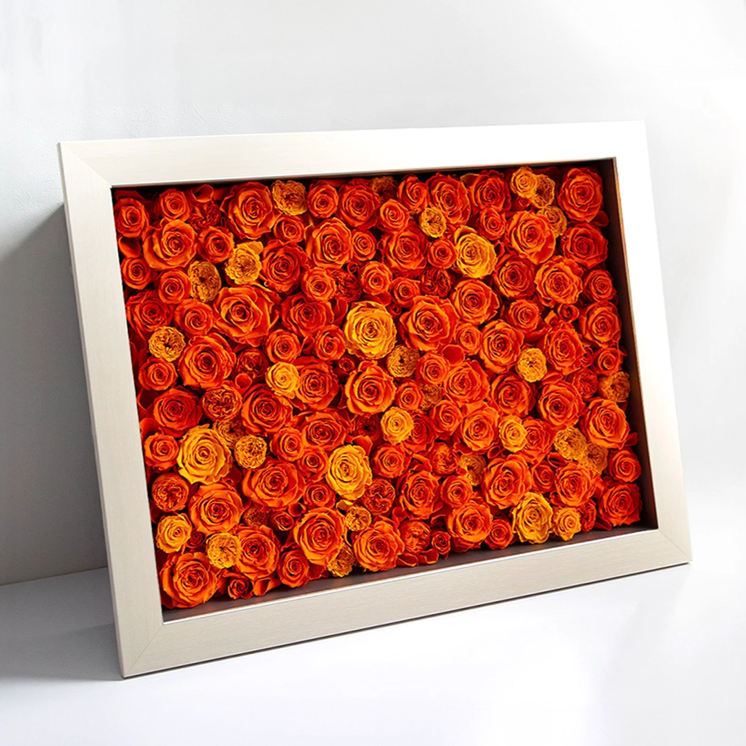 パナッシュ(67-52)/オレンジ108本