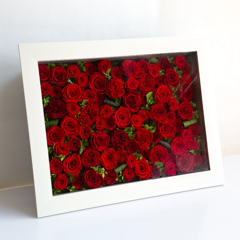 パナッシュ(67-52)/レッド108本