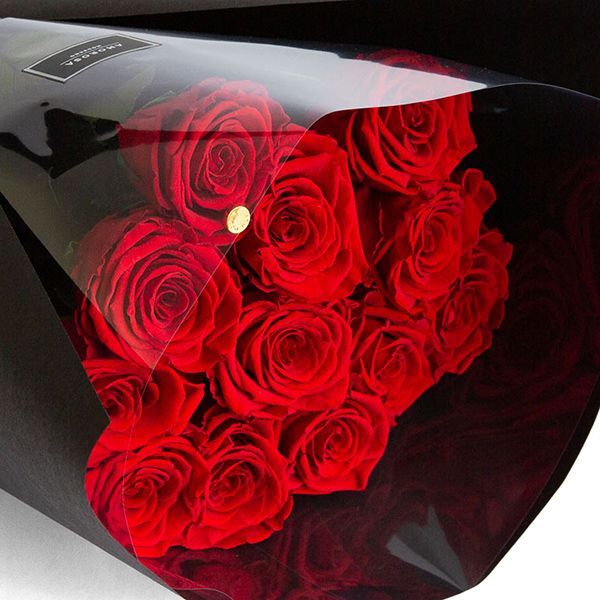 ダーズンローズ　ストーリー/レッド