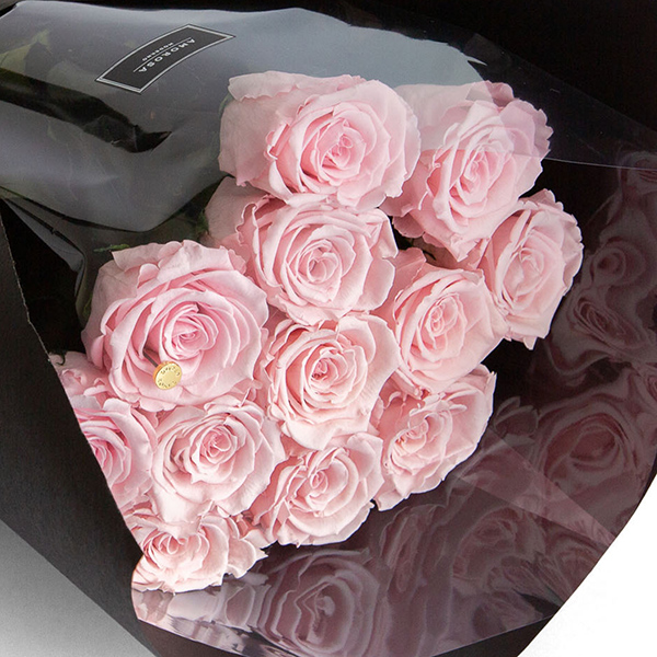 ダーズンローズ　ストーリー/ピンク