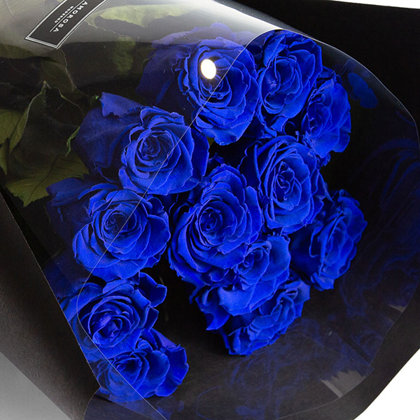 ダーズンローズ　ストーリー/ブルー