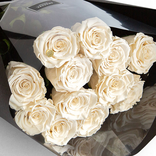 ダーズンローズ　ストーリー/ホワイト