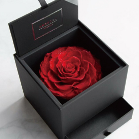 プリザーブドフラワー通販｜最高級ギフトに花を贈りたいなら 公式