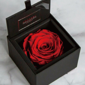 プリザーブドフラワー通販｜最高級ギフトに花を贈りたいなら 公式