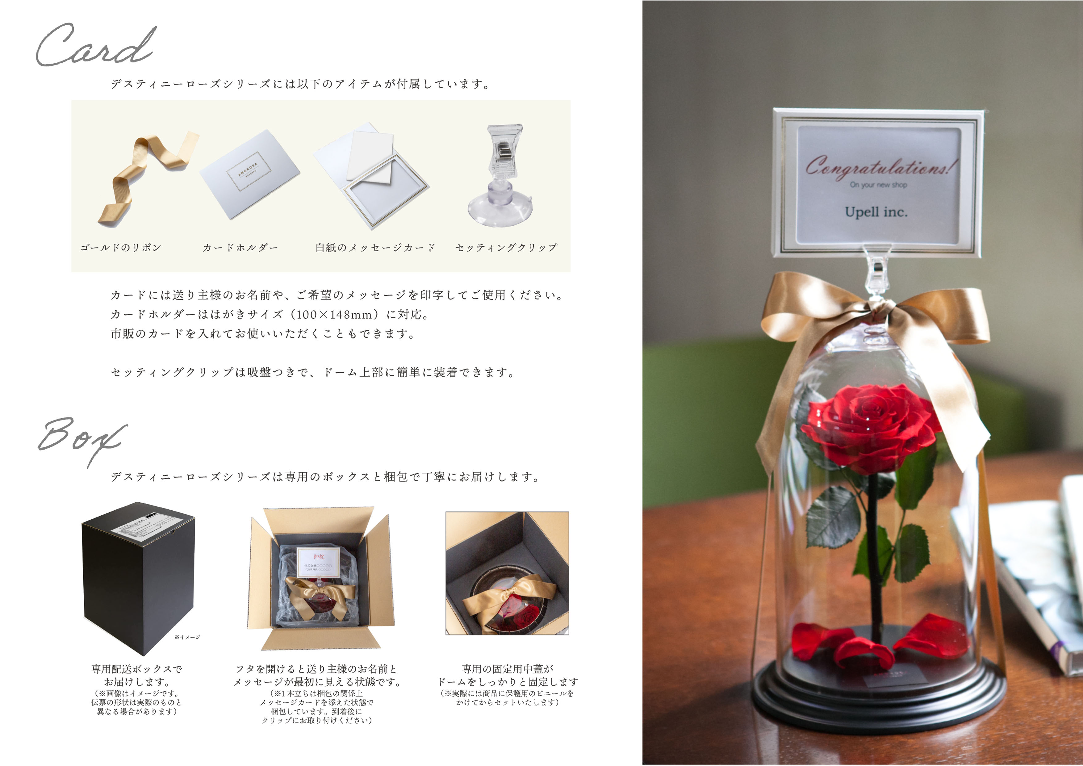 デスティニーローズシリーズには以下のアイテムが付属しています。