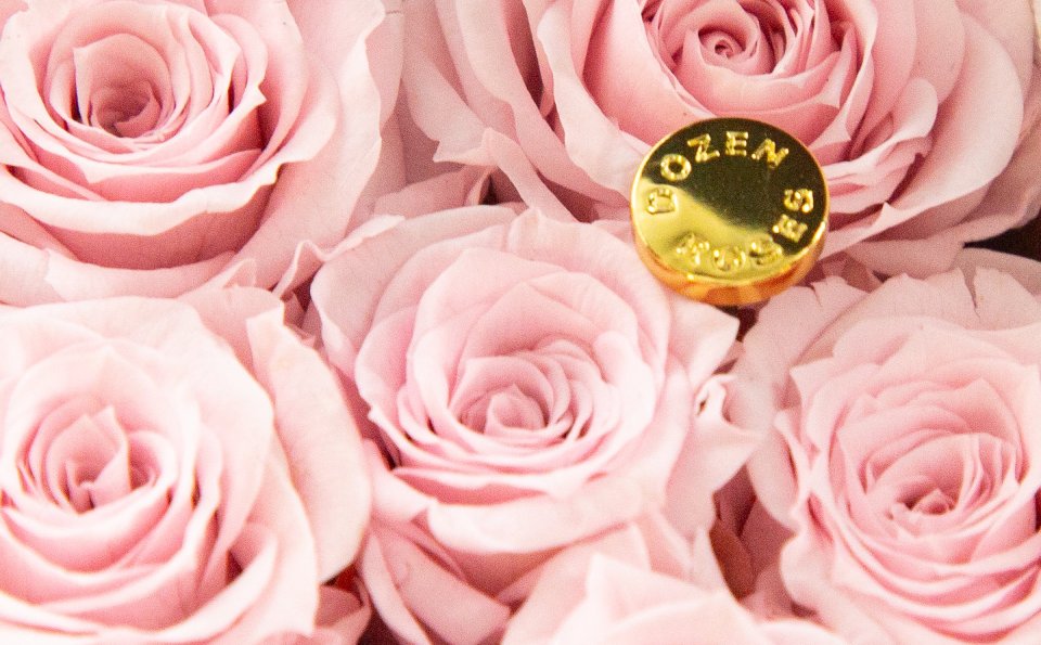 ダーズンローズは登録商標です。