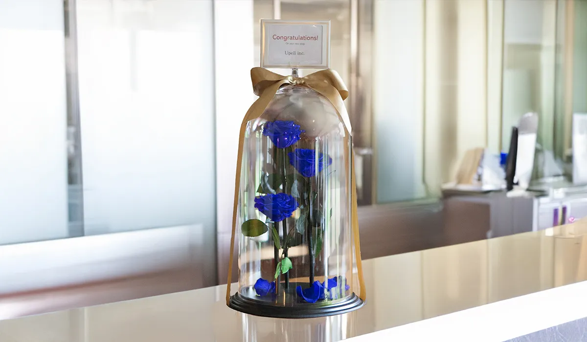 デスティニーローズ