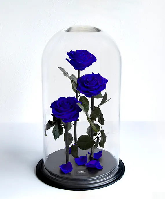 割れないガラスだから安心して贈れます