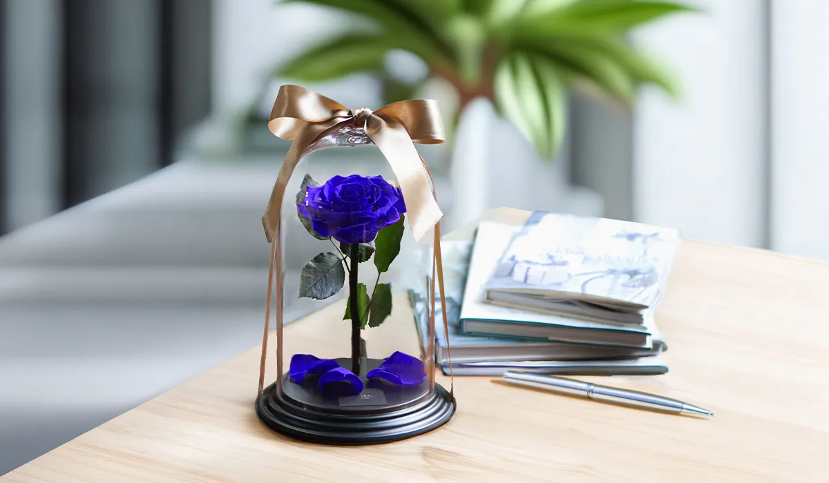 ダーズンローズ ドゥロワー