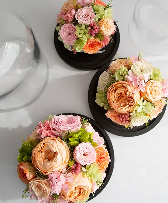 360度どこから見ても美しい満開のローズ