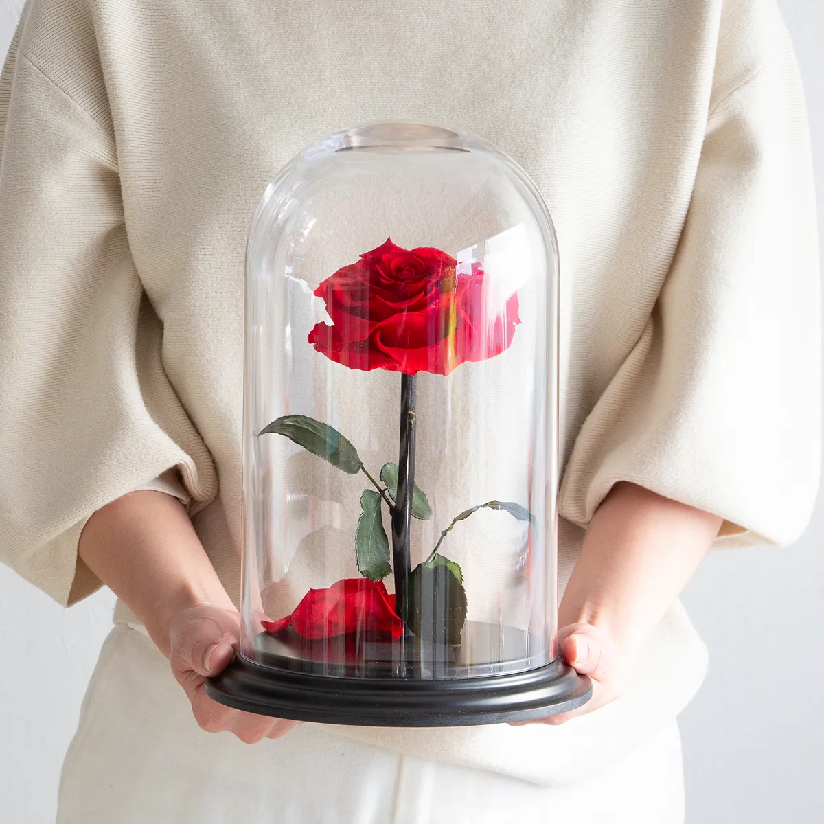 デスティニーローズ