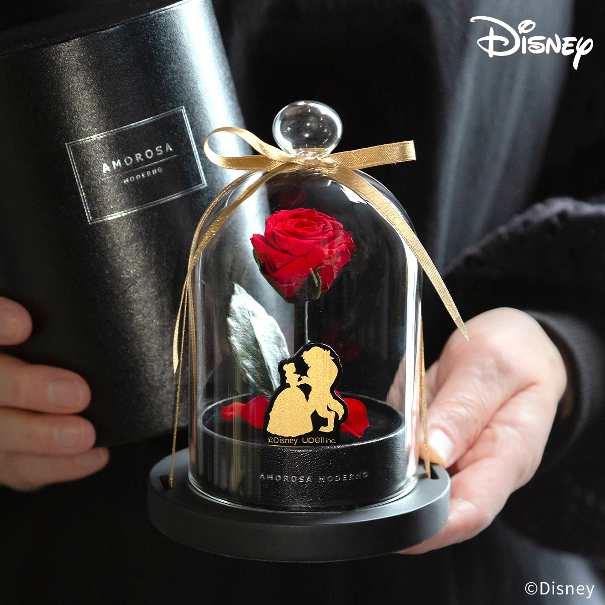 リトルベル 「美女と野獣」