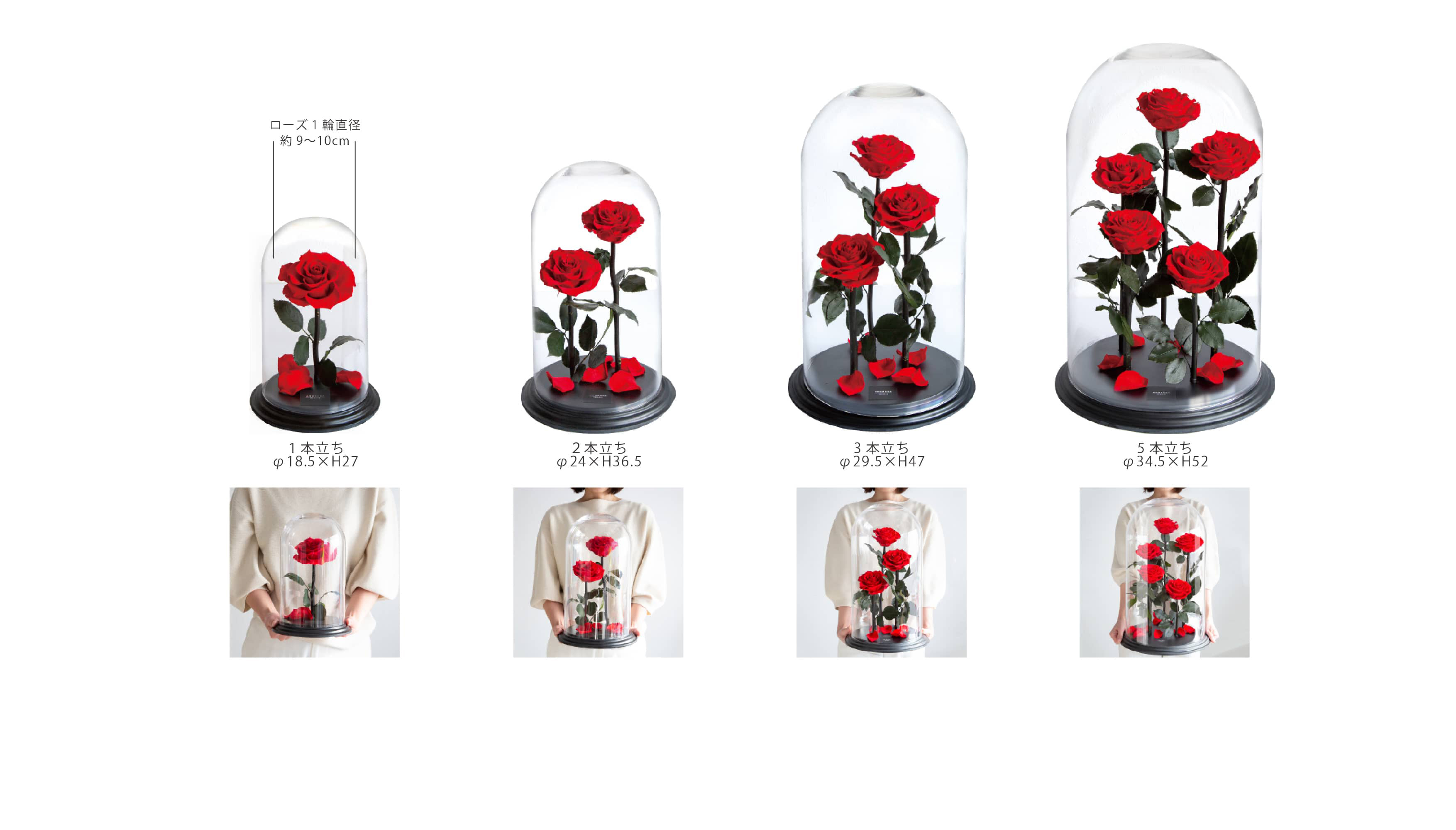 デスティニーローズについて