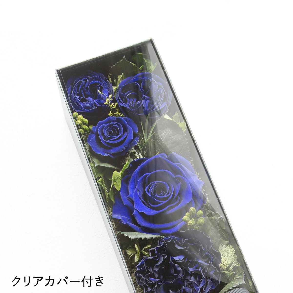 青いバラ プリザーブドフラワー クリアドーム　〜amorosa〜 ラブリエスト/エクセレントブルー （プリザーブドフラワー） | 最高級