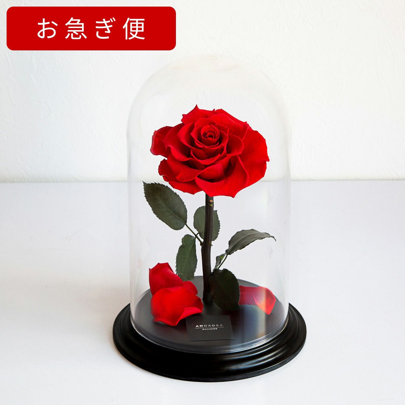 000000000199-06.jpg?size=l&w=