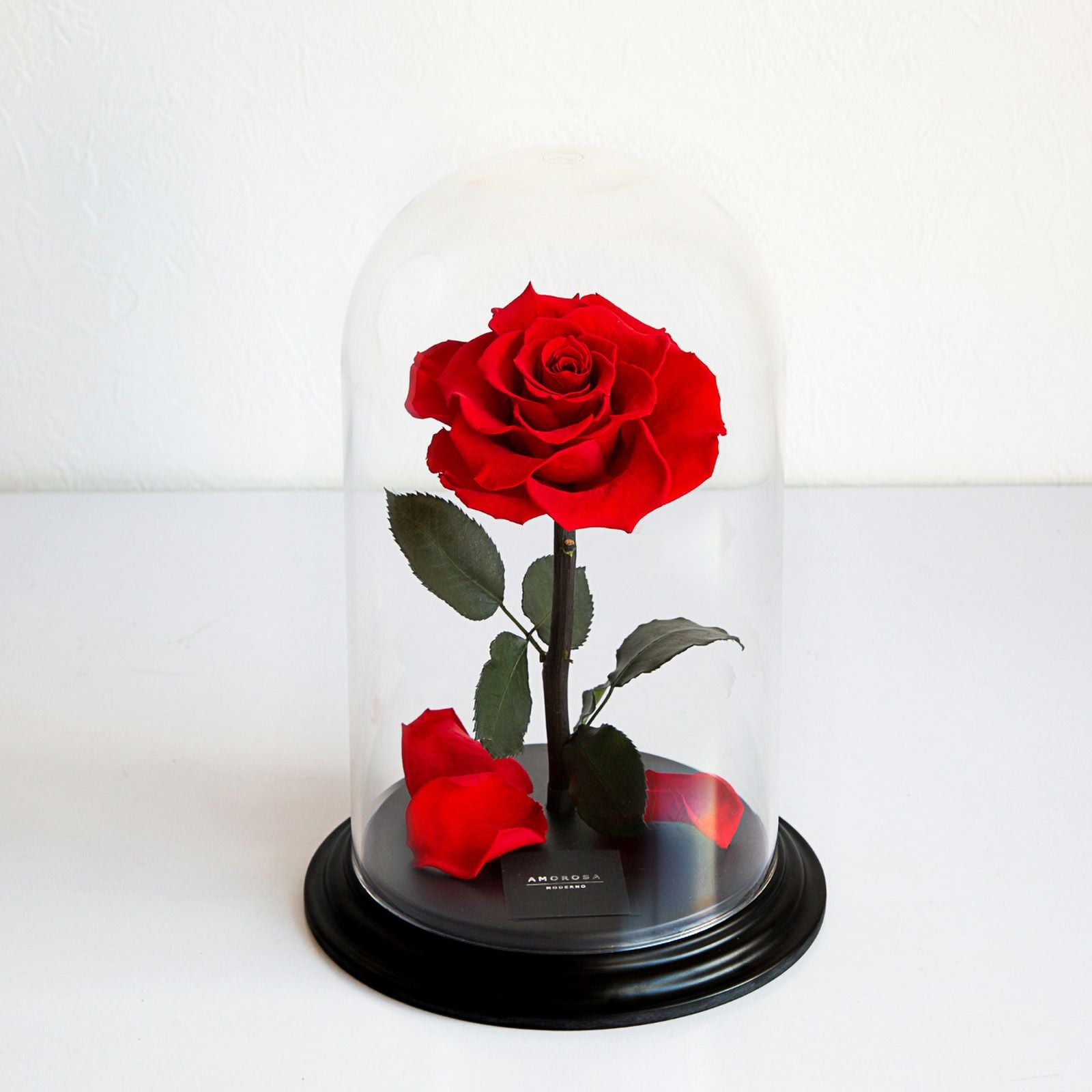 000000000275-05.jpg?size=l&w=