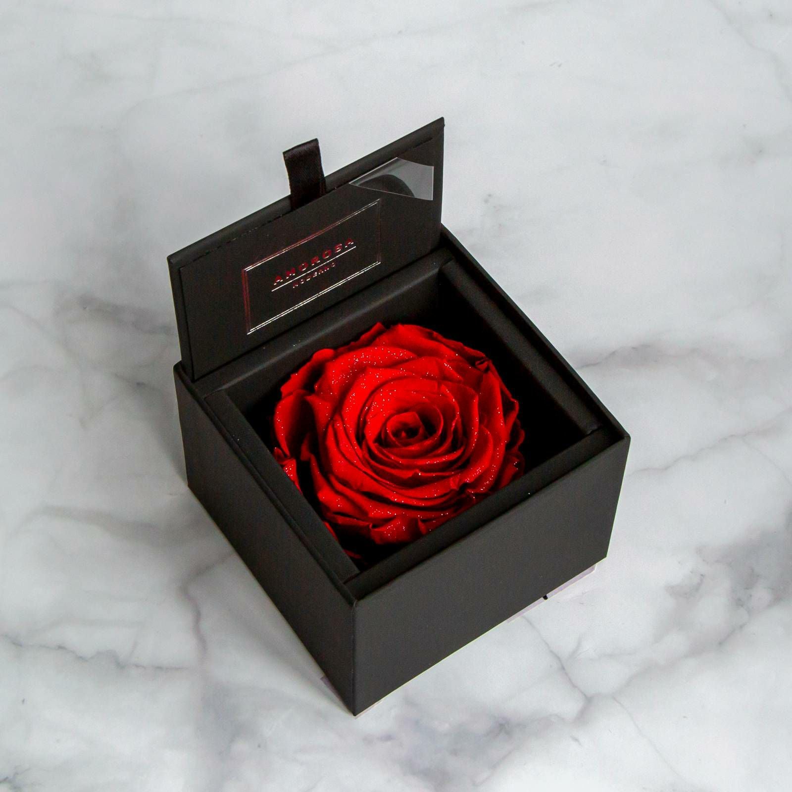 000000000299-01.jpg?size=m&w=