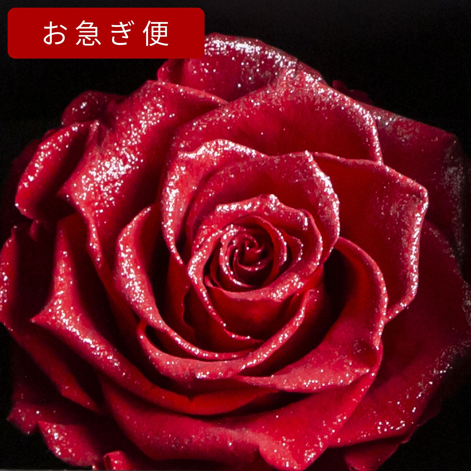 000000000308-05.jpg?size=l&w=