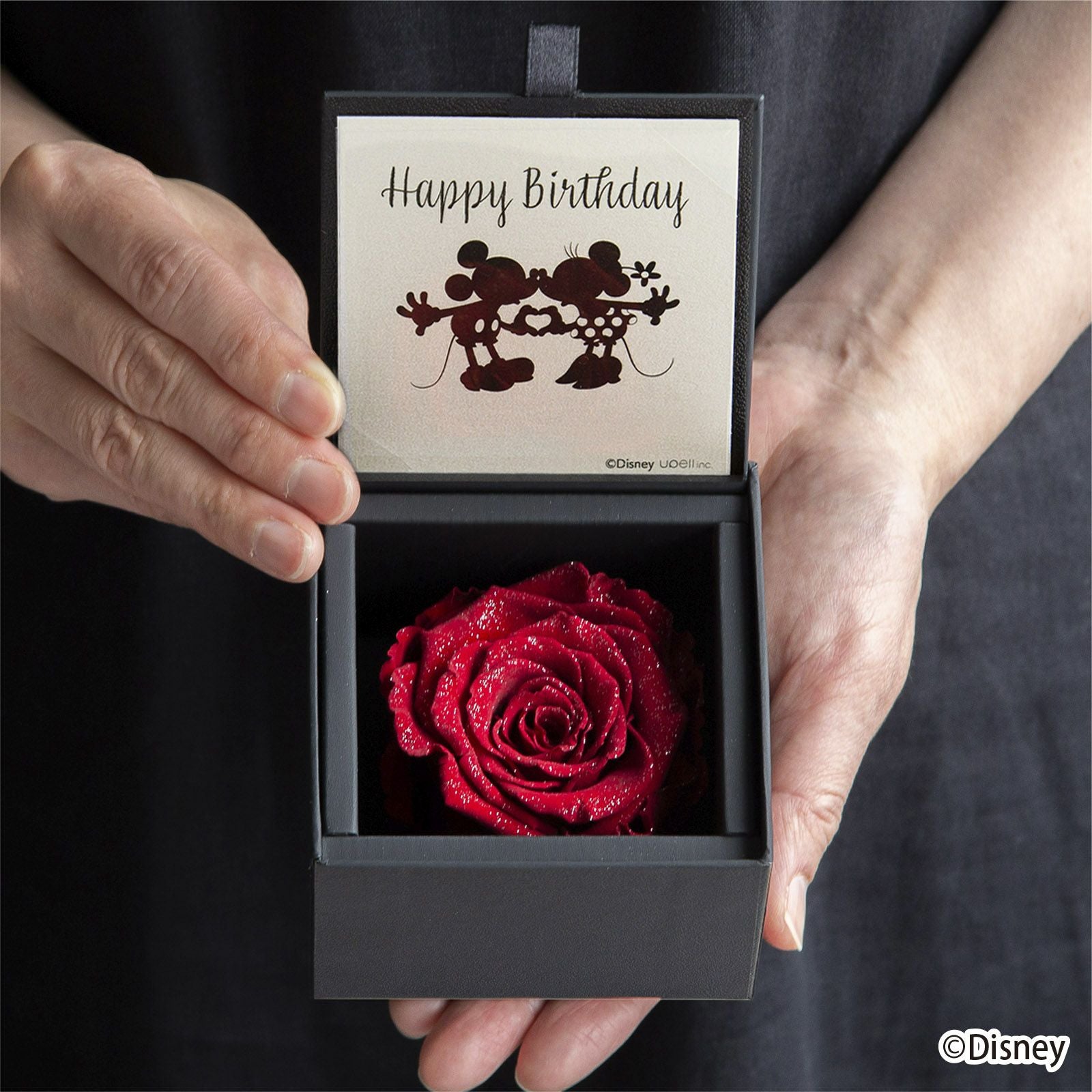 ダイヤモンドローズディズニーエディション(85)/Happy Birthday