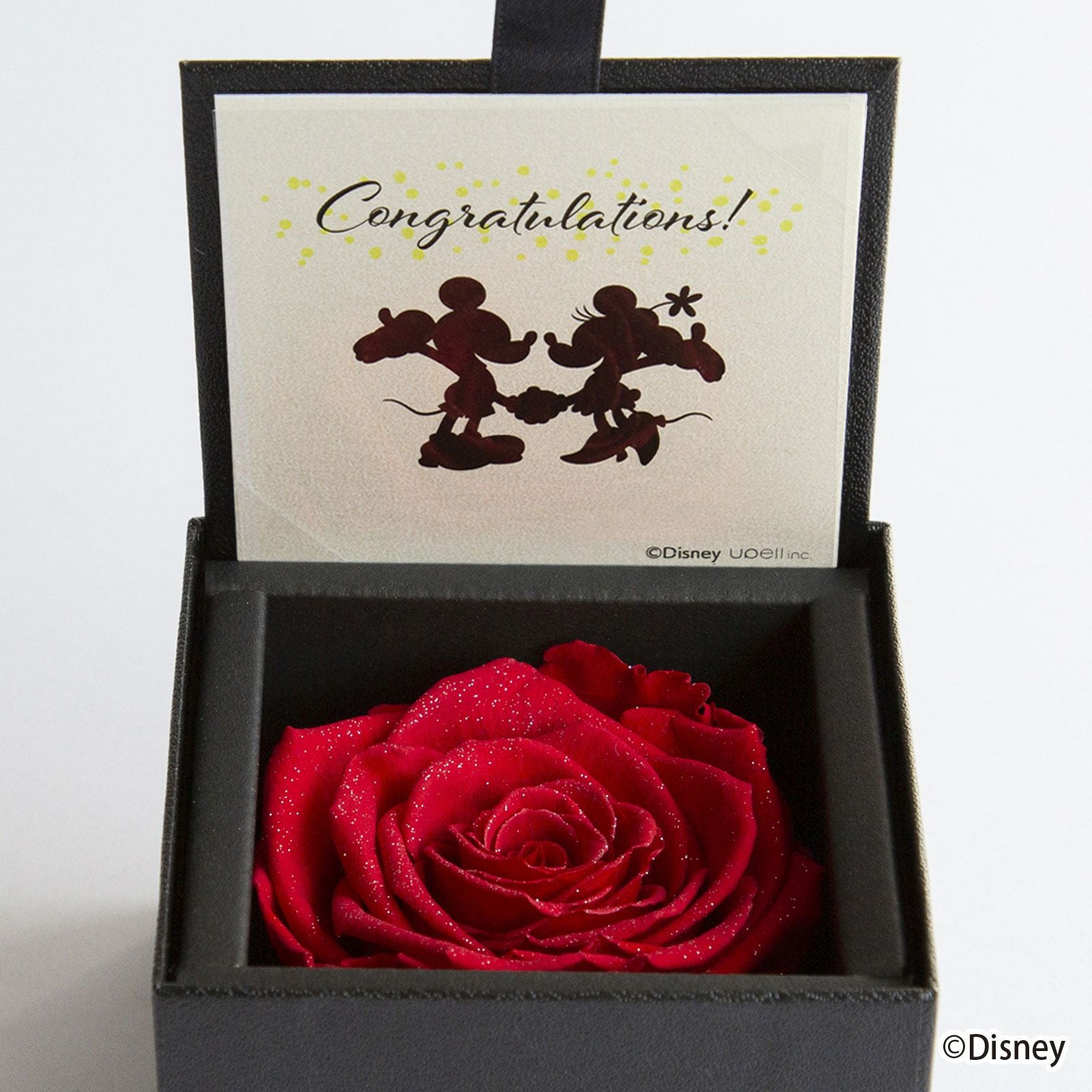 000000000333-01.jpg?size=m&w=