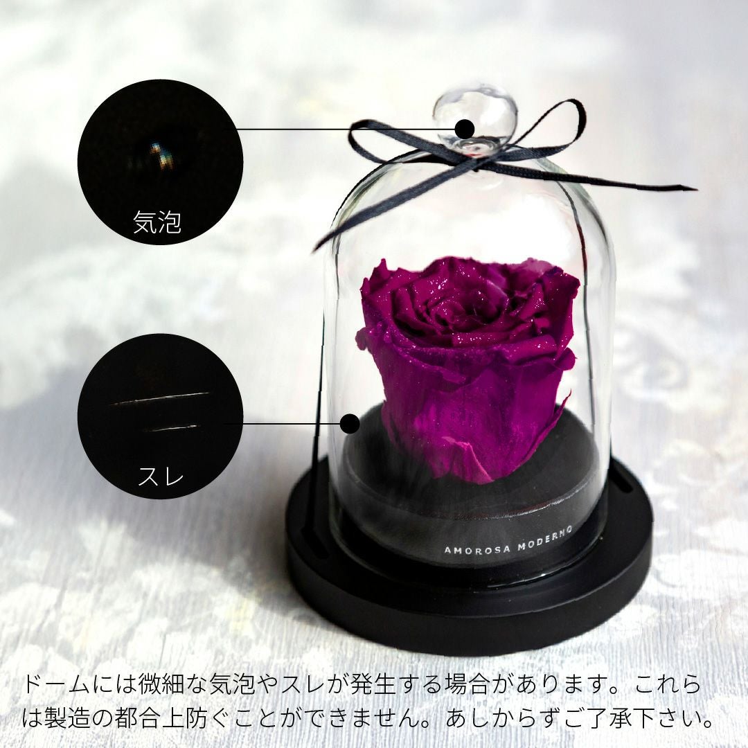 000000000339-15.jpg?size=l&w=