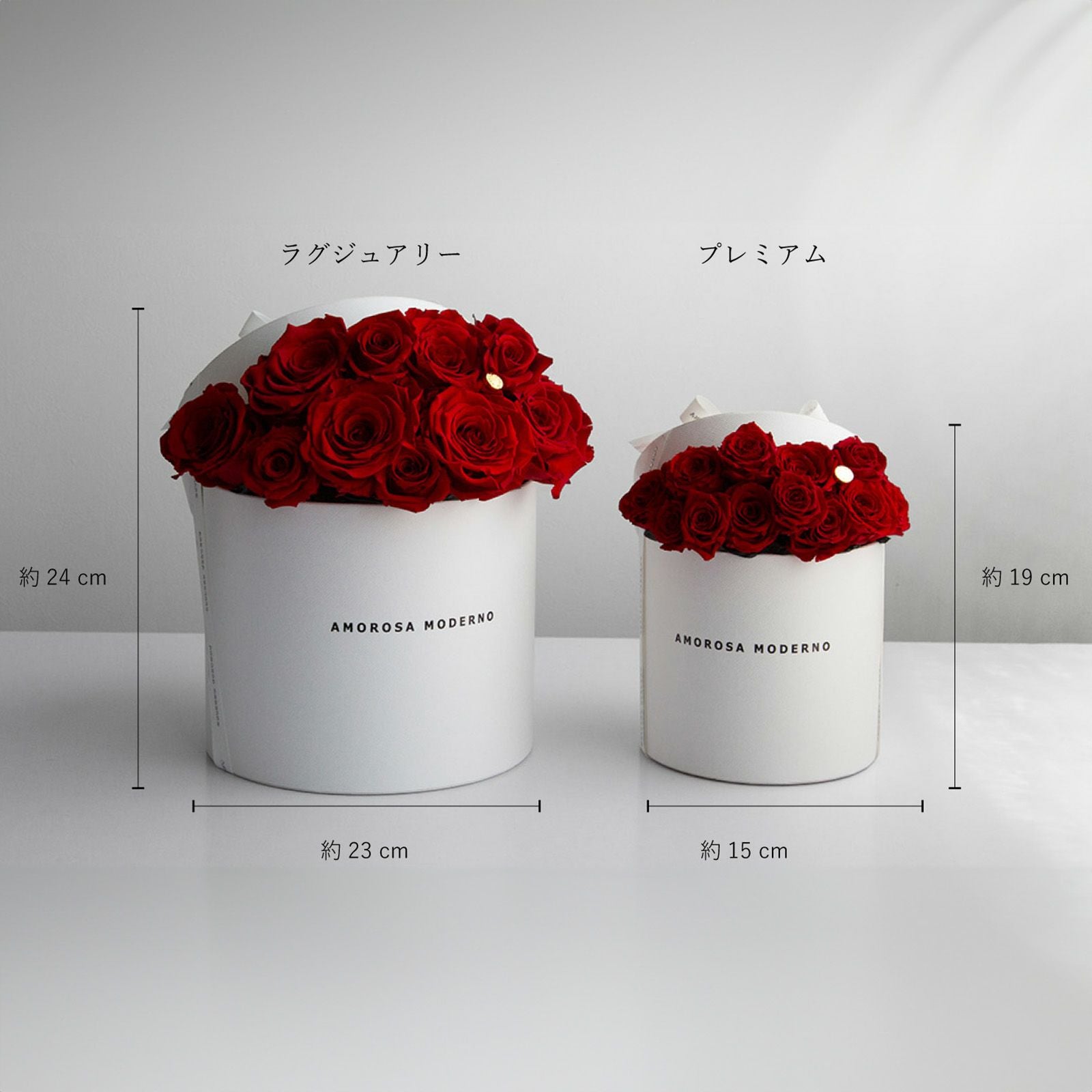 ダーズンローズマイプレシャス(プレミアム)/レッド （プリザーブド