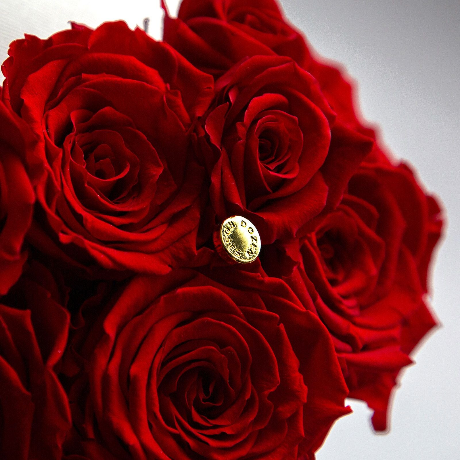 ダーズンローズマイプレシャス(ラグジュアリー)/レッド （プリザーブド