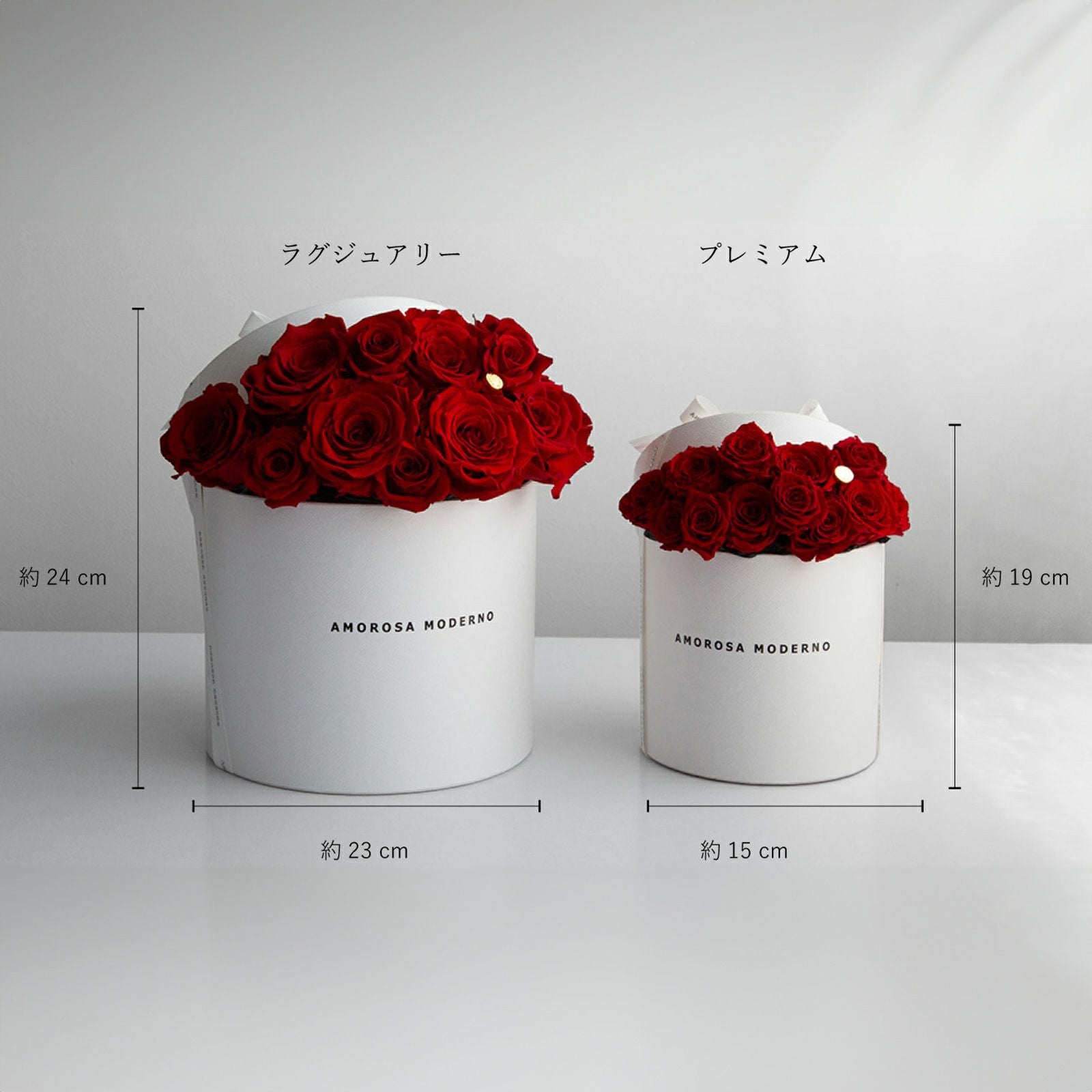 ダーズンローズマイプレシャス(ラグジュアリー)/レッド （プリザーブド