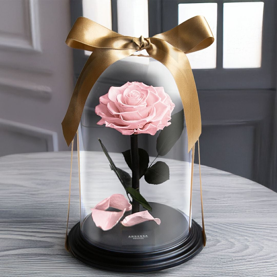 ドーム-DOME | 最高級プリザーブドフラワーのギフト通販ならAMOROSA