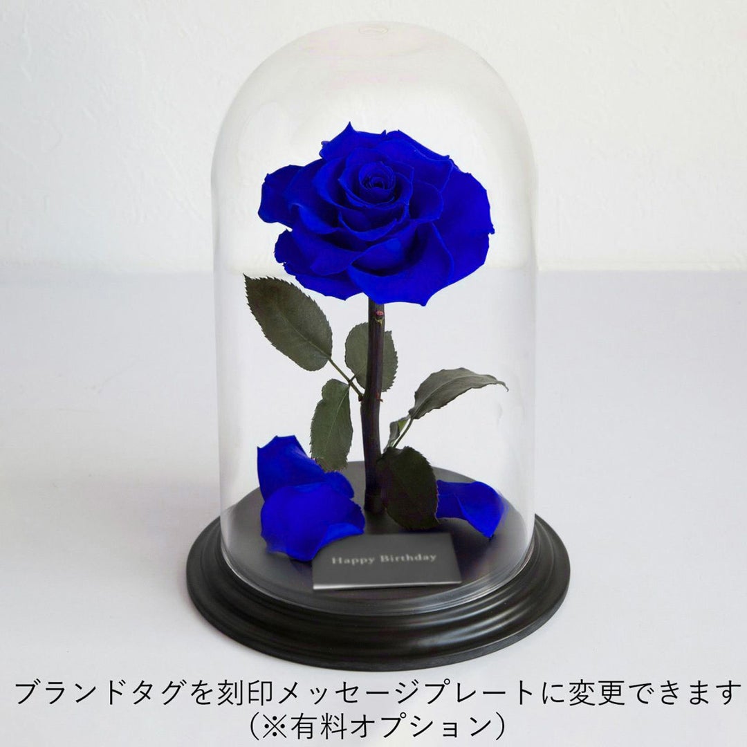 000000000429-03.jpg?size=l&w=