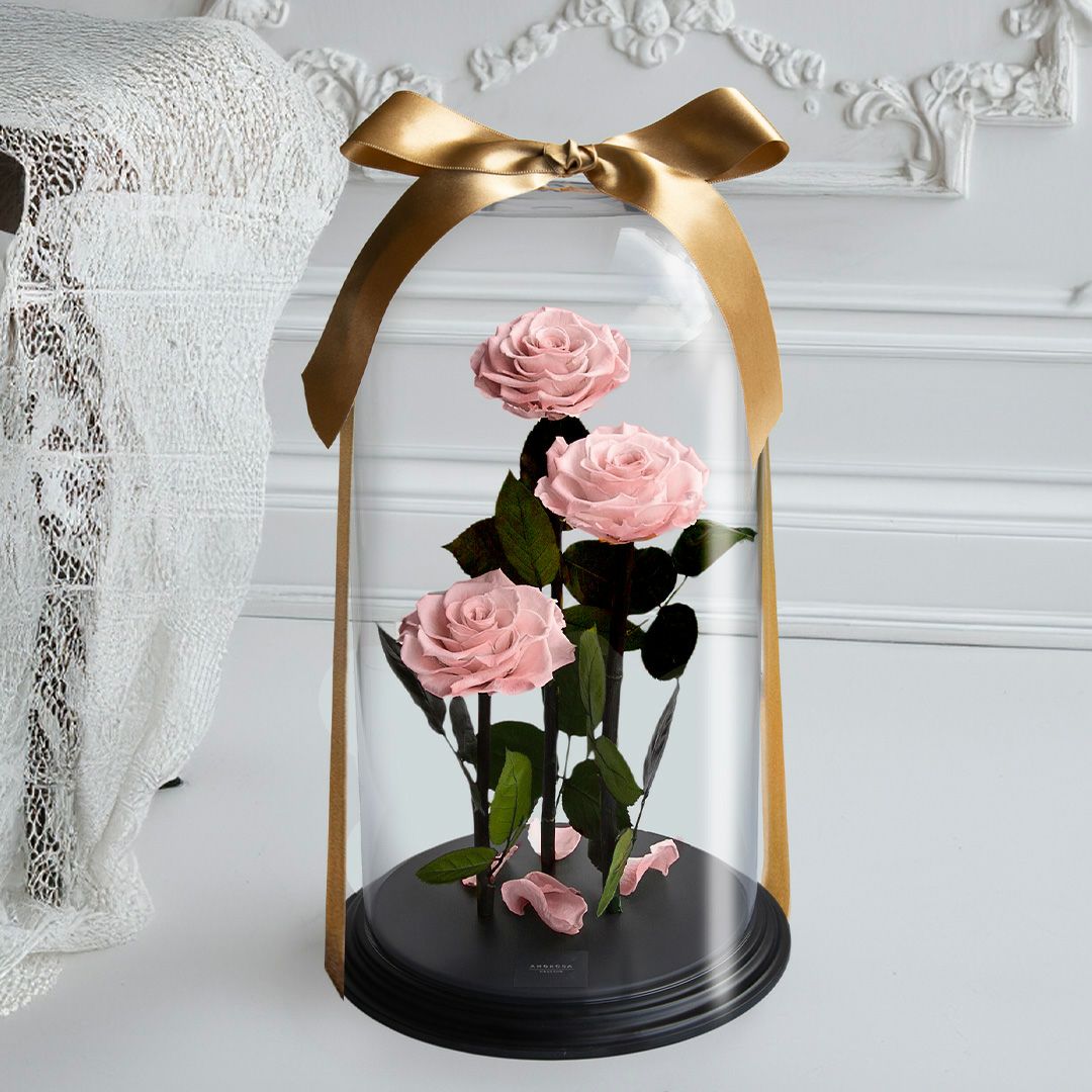 ドーム-DOME | 最高級プリザーブドフラワーのギフト通販ならAMOROSA