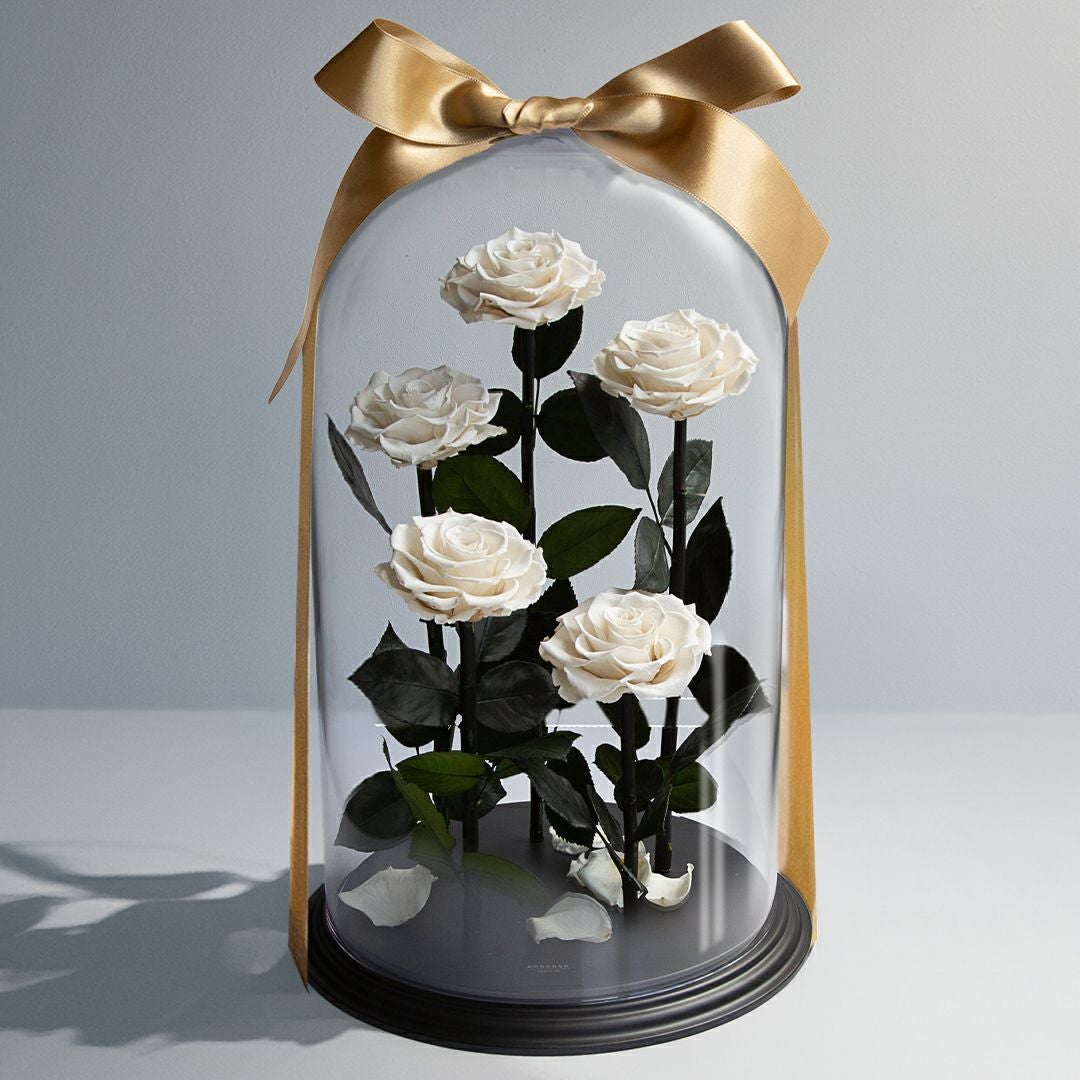 DESTINY ROSE（デスティニーローズ） | 最高級プリザーブドフラワーの